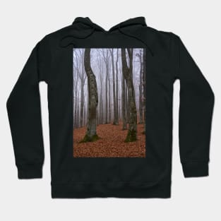 Winter landscape with frost on trees Hoodie